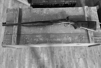 TOZ 12 22lr nr B467