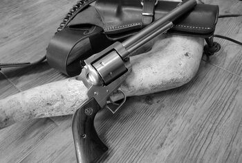 Ruger Super Blackhawk #2817