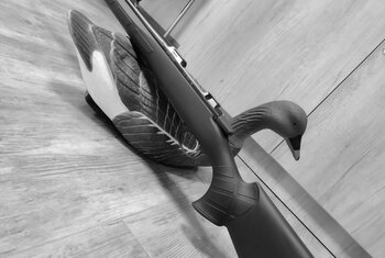 CZ 557 Syntethic.