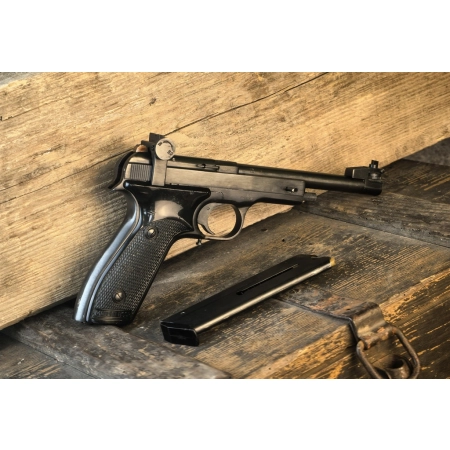 Margolin MCM 22lr
