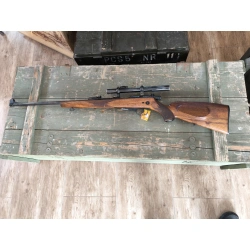 Walther 22lr